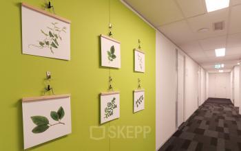 Binnen gang van het kantoorpand aan Van Knobelsdorffplein 14, Drachten met groene accentmuur en plantenprints. Perfect voor kantoorruimte huren.