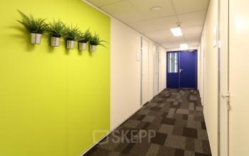 Heldere kantoorruimte op Van Knobelsdorffplein 14, Drachten, met kleurrijke wand, blauwe deuren en planten als decoratie. Geschikt voor bedrijven die een kantoorruimte willen huren.