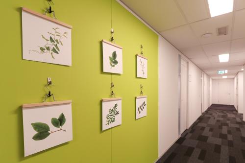 Binnen gang van het kantoorpand aan Van Knobelsdorffplein 14, Drachten met groene accentmuur en plantenprints. Perfect voor kantoorruimte huren.