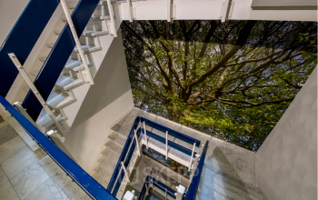 Trapopgang in het kantoorpand aan de Galvanistraat 7, Ede, met opvallend wanddecor van boomtakken. Ideaal voor wie een kantoorruimte wil huren in een inspirerende omgeving.