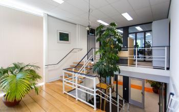 Lichte entree van een kantoorpand met trapopgang, planten en kunst aan de muur, ideaal voor kantoorruimte huren in Eindhoven Noord.