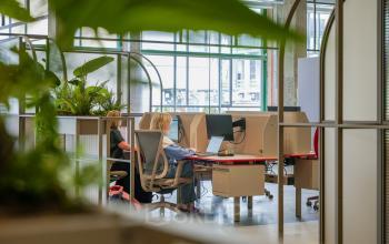 Moderne kantoorruimte in Eindhoven Strijp-S met werknemers achter computers. Helder interieur met veel planten en een industriële uitstraling, ideaal voor het huren van een inspirerende werkplek.