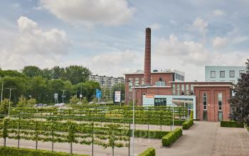 Buitenzicht op het kantoorpand bij Friesestraatweg 207-221 in Groningen met parkeerplaatsen en groenvoorziening, ideaal om kantoorruimte te huren in een levendige omgeving.