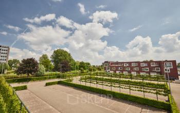 Exterieur van kantoorpand op Friesestraatweg 207-221 in Groningen met aangrenzende parkeerplaatsen. Geschikt voor huur als kantoorruimte, omringd door groen en voorzien van ruime parkeergelegenheid.