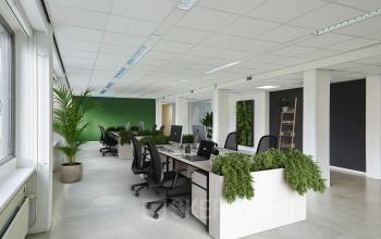 Moderne kantoorruimte in Groningen met groene accenten en werkplekken met bureaus en stoelen, ideaal voor wie een kantoorpand wil huren aan de Schweitzerlaan 12.