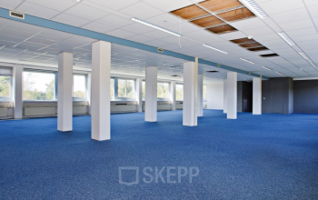 big freelance work space groningen blue