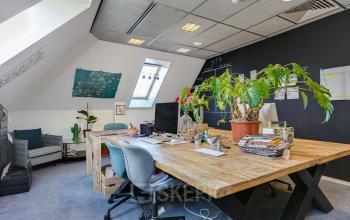 green plants office room haarlem green plants