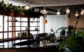 Modern ingerichte kantoorruimte huren op Mercuriusplein 1 in Hoofddorp met groene plantenaccenten en ruime werkplekken waar een persoon geconcentreerd aan het werk is.