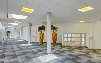 Ruime, lichte kantoorruimte op Ouddeelstraat 7a in Leeuwarden met moderne vloerbedekking. Grote planten en veel lichtinval geven het pand een frisse uitstraling. Ideaal voor wie een kantoorruimte wil huren.