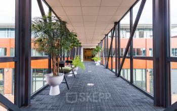 Verlichte corridor in kantoorpand Pompoenweg 3-15 Leiden met grote ramen en planten, ideaal voor kantoorruimte huren.
