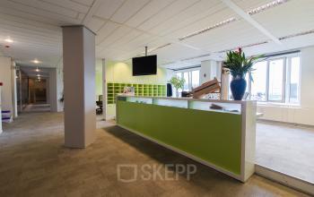 green reception desk in office building