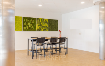 In het kantoorpand Blankenstein 265, Meppel vind je een moderne ruimte met een hoge tafel en zes stoelen, ideaal voor informele bijeenkomsten of werkoverleg. De muur is versierd met groene kunstwerken.