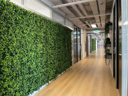 Modern kantoorpand in Rijswijk met groene muur en glazen wanden, ideaal voor wie kantoorruimte wil huren.
