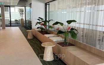 Moderne kantoorruimte huren in Rotterdam Brainpark aan de Bahialaan 100 met strakke houten elementen en groene planten voor een frisse uitstraling.