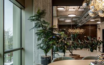 Moderne kantoorruimte in Hofplein 19, Rotterdam Centraal Station met strakke inrichting, grote ramen en planten. Ideaal voor wie kantoorruimte wil huren op een dynamische locatie.