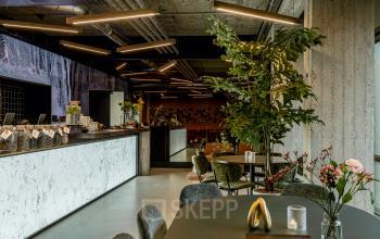 Interieur van een modern kantoorpand op Hofplein 19, Rotterdam Centraal Station, met een sfeervolle gemeubileerde lounge waarin planten en designmeubilair te zien zijn. Ideale plek voor kantoorruimte huren met een stijlvolle uitstraling.