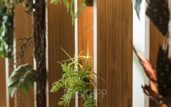 Houten divider met ingebouwde planten in kantoorruimte Weena 690, Rotterdam Centrum, geschikt voor gezondheidsbevorderend werken.