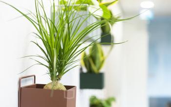 Moderne kantoorruimte met groene planten aan de muur, gelegen in het kantoorpand op Westplein 12, Rotterdam Centrum.