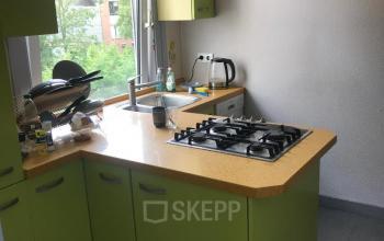 Compacte keukenruimte in het kantoorpand aan Schiekade 105, Rotterdam Centrum met groene kastjes en een kookplaat.