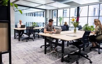 Kantoorruimte huren in het centrum van Rotterdam aan Karl Weisbardstraat 181 - 201 met moderne werkplekken, ruime tafels en grote ramen. Personen zijn aan het werk op laptops in een lichte, rustige omgeving.