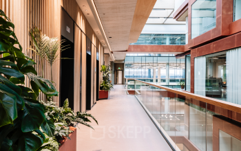 Moderne kantoorruimte in Rotterdam Centrum met glazen wanden, houten panelen en veel groen, perfect voor huren aan de Hoogstraat 185.