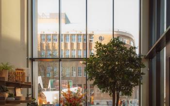 Moderne, lichte ruimte met hoge ramen aan de Coolsingel 139, ideaal voor kantoorruimte huren in Rotterdam Centrum. Groot raam met uitzicht en diverse planten en meubels aanwezig.