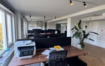 Moderne kantoorruimte op Westplein 12 in Rotterdam Centrum met ruim opgezette werkplekken, planten en veel daglicht bij grote ramen. Ideale plek om kantoorruimte te huren.