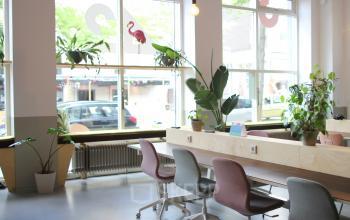 Kantoorruimte huren met gemeubileerde werkplekken, planten en grote ramen aan de Schiedamse Vest 154 in Rotterdam Centrum.