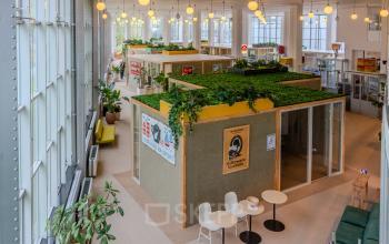 Ruime, lichte kantoorruimte op Van Nelleweg 1, Rotterdam Delfshaven, met moderne, begroeide vergaderruimtes en informele zitplekken voor huren.