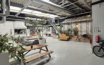 Industrieel kantoorpand aan Van Helmontstraat 17-23 in Rotterdam Delfshaven met moderne werkplekken en veel planten. Ideaal om kantoorruimte te huren voor creatieve projecten.