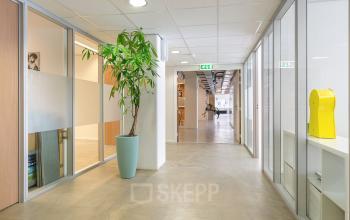 Heldere kantoorruimte op Linker Rottekade 292 in Rotterdam Noord, met glazen wanden, een grote plant en moderne inrichting. Ideaal om kantoor te huren voor een inspirerende werkomgeving.