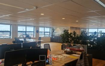 Lichte kantoorruimte met houten vloer, planten en werkplekken nabij grote ramen met uitzicht op Rotterdam Waalhaven.