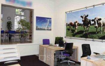 flexible working space rotterdam van der takstraat cows painting