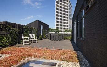 kantoorpand huren aan van helmontstraat in rotterdam met dakterras