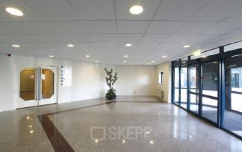 entrance office building doors green plant