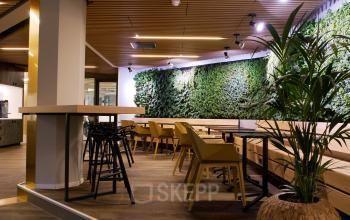 plants lunchroom green environment table and chairs
