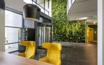 Moderne entree van kantoorpand Boeingavenue 223-239, Schiphol Rijk, met groene wand, gele stoelen en glazen draaideur.