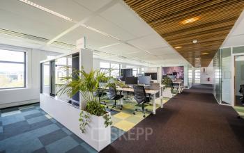 Moderne kantoorruimte huren in Schiphol Rijk, Boeingavenue 223-239, met werkplekken en groene planten in een lichte en open inrichting.