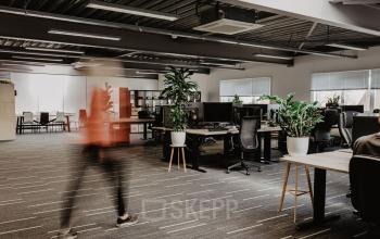 Modern kantoorpand aan Bredaseweg 8 in Breda Terheijden, met stijlvolle gemeubileerde werkplekken en planten voor een frisse uitstraling. Zakelijke activiteiten vinden plaats in de open kantoorruimte.