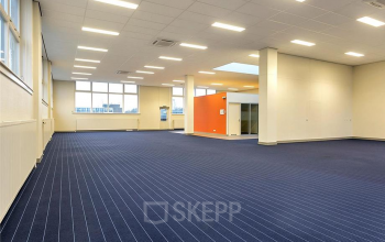 big office space tilburg blue carpets