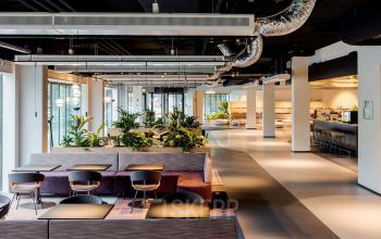 Moderne kantoorruimte huren aan Daalsesingel 51 in Utrecht Centraal Station met ruime werkplekken, comfortabele stoelen en veel groen.