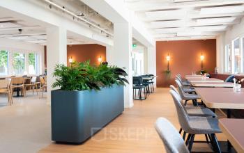 Moderne en lichte kantoorruimte huren op Atoomweg 50, Utrecht, met ruime werkplekken en planten die voor een frisse sfeer zorgen. Ideaal voor creatieve en productieve werksessies.