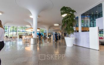 Moderne kantoorruimte op Papendorpseweg 95-97 in Utrecht met mensen die zakelijke gesprekken voeren; grote open indeling met stijlvolle kolommen en groen decor.