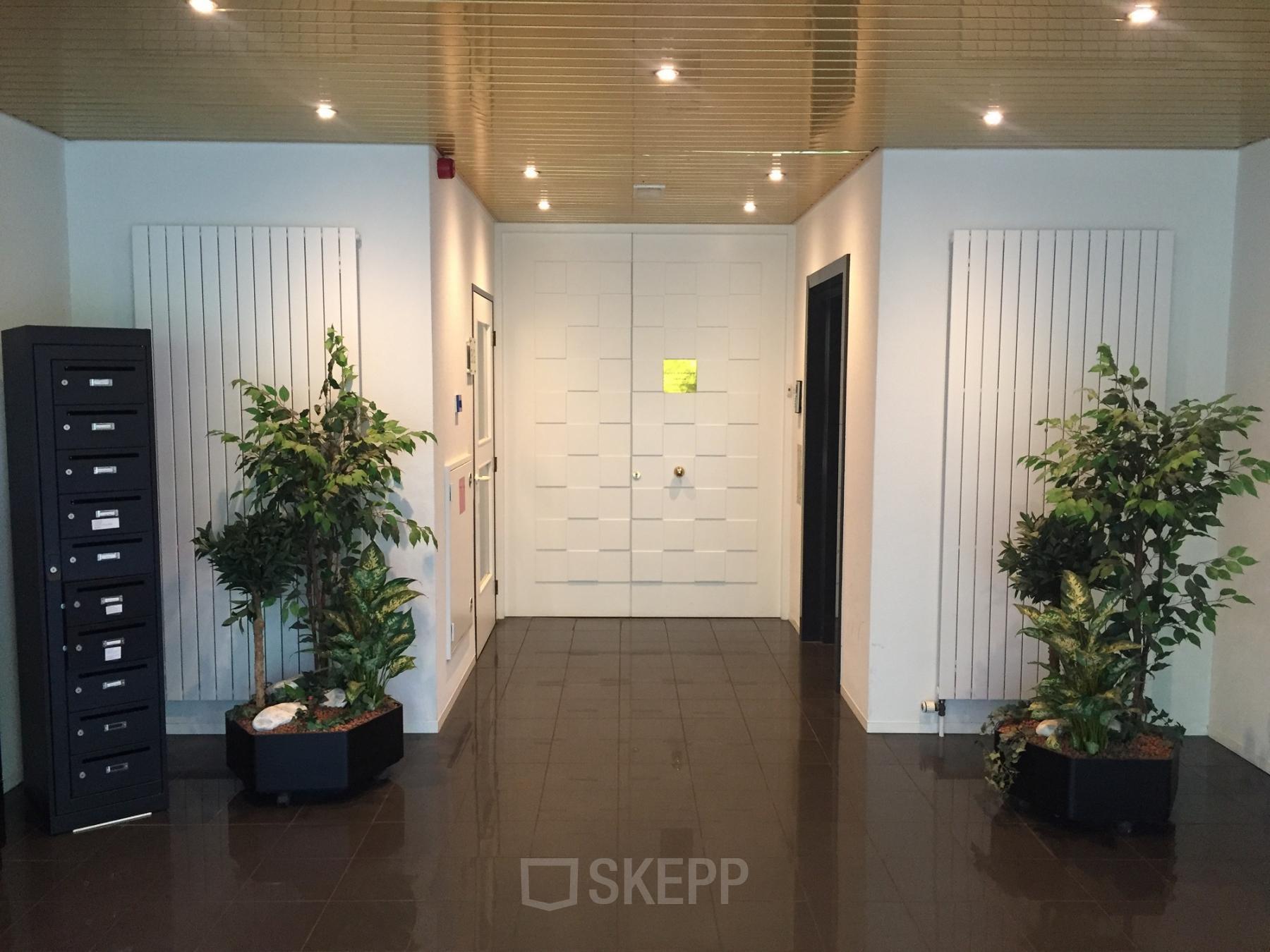 entrance office building green plants reception desk