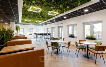 Gezellige en moderne kantoorruimte in Zwolle, met stijlvolle zitplekken, houten vloeren en planten aan de plafond, perfect voor vergaderingen en samenwerking. Ideaal voor wie een kantoorpand wil huren op Zuiderzeelaan.