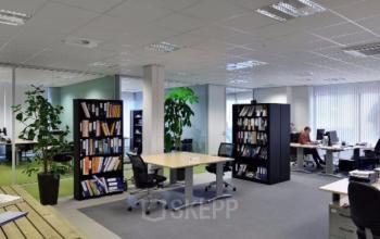 Working place office building Zwolle green bookshelf