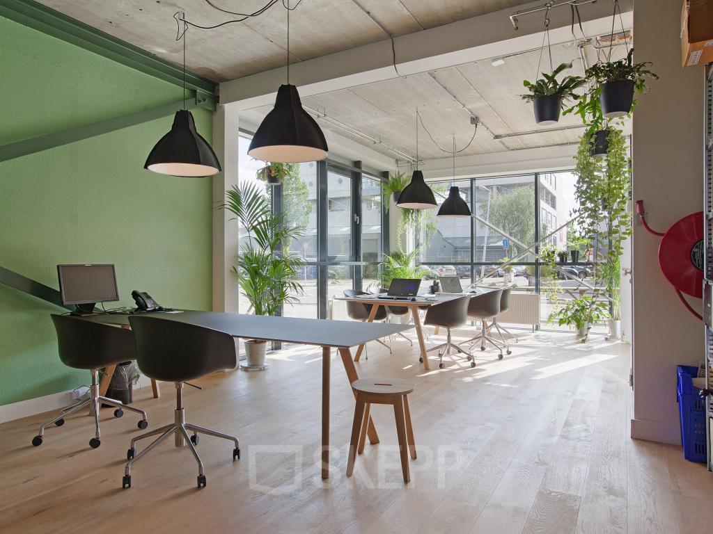 Een scandinavisch kantoordesign met kantoorplanten