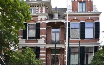 Tauro Haarlem