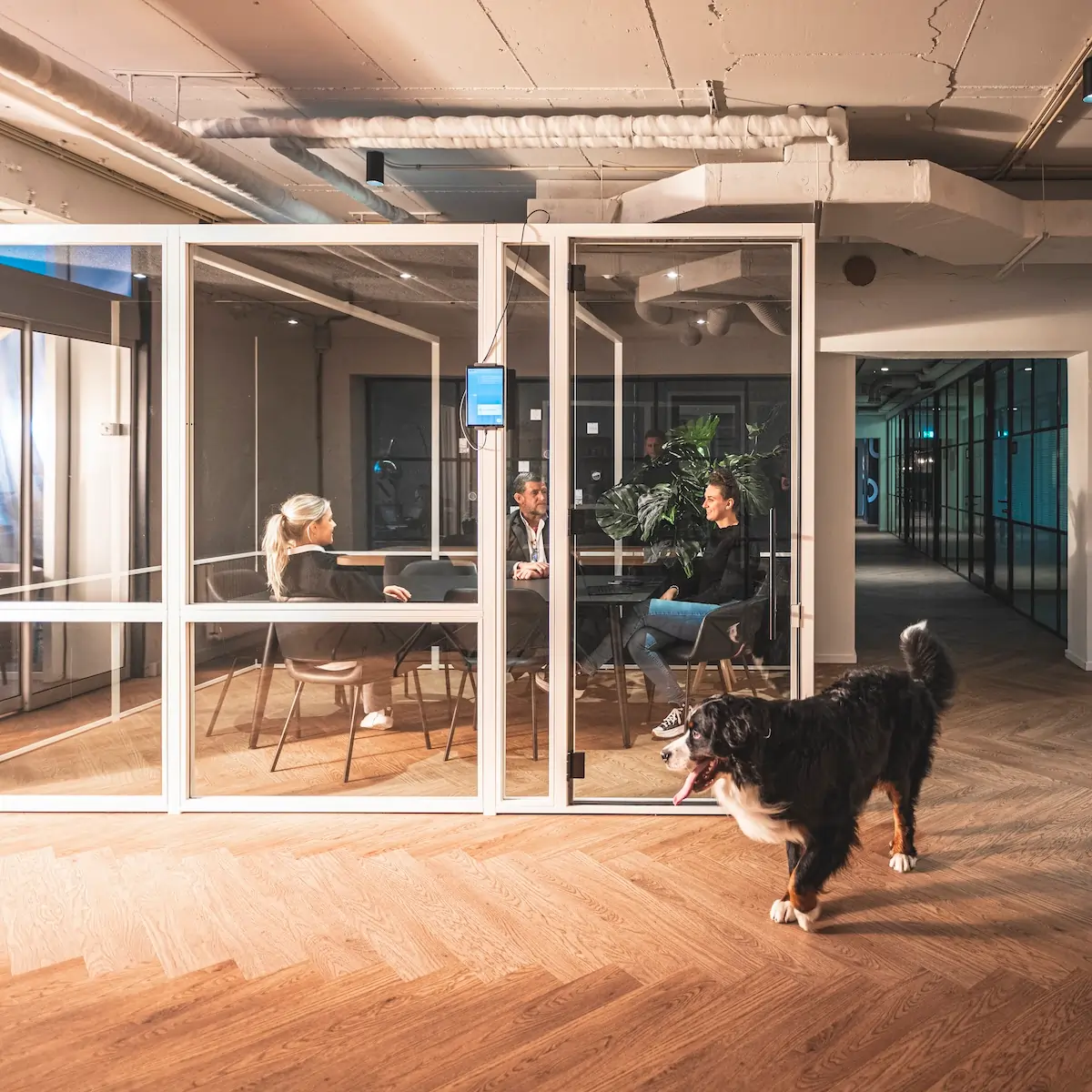 Meetingroom Schelde